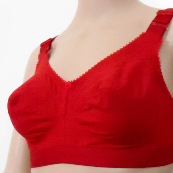 Indian Guddi Bra